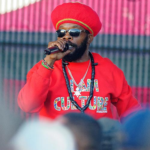 Bushman
